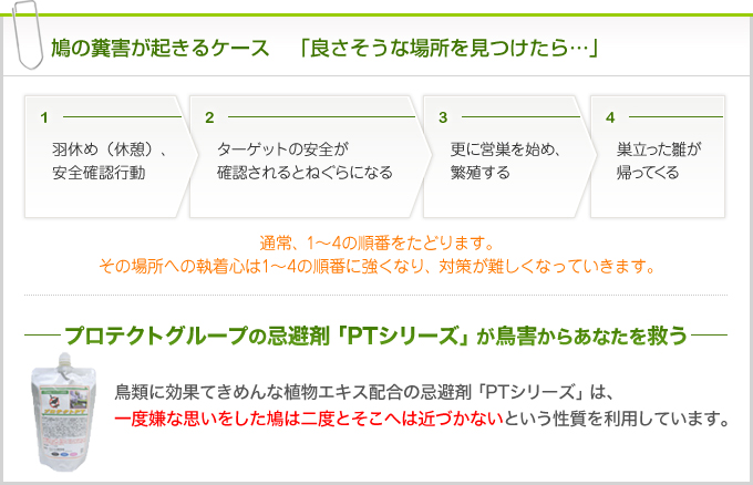 鳩の糞害が起きるケース　「良さそうな場所を見つけたら…」