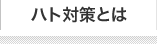ハト対策とは