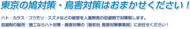 東京の鳩対策・鳥害対策はおまかせください！