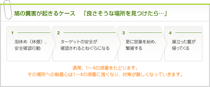 忌避剤「PTシリーズ」｜東京、関東でハトの被害、鳥害対策、忌避剤のことならお任せください｜株式会社総和社 鳥害対策事業部